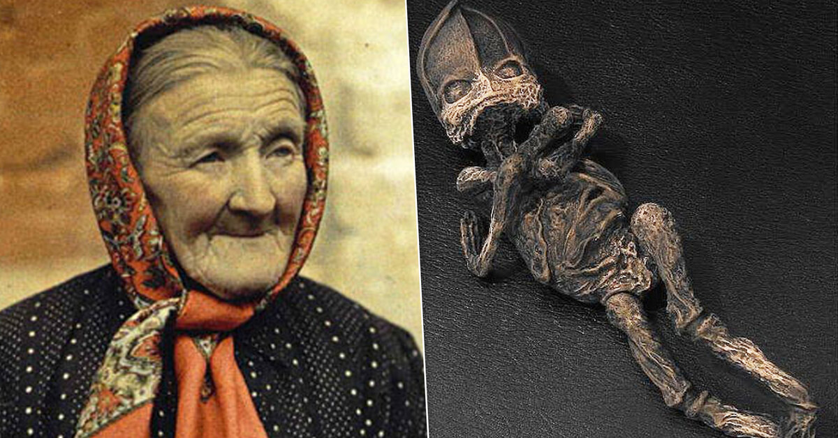 Источник: Яндекс картинки