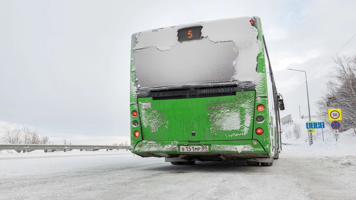    Фото: Федор Воронов/«Ямал-Медиа»