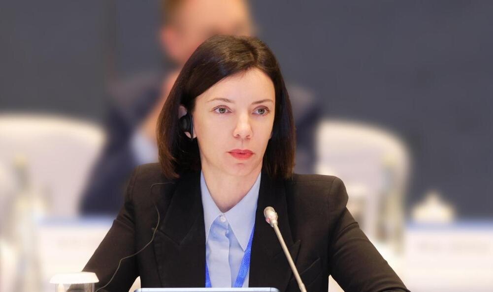 Фото: пресс-служба Министерства развития Арктики и экономики Мурманской области