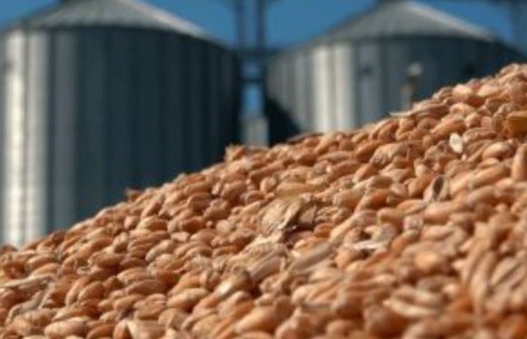    Фото: Россельхознадзор РФ