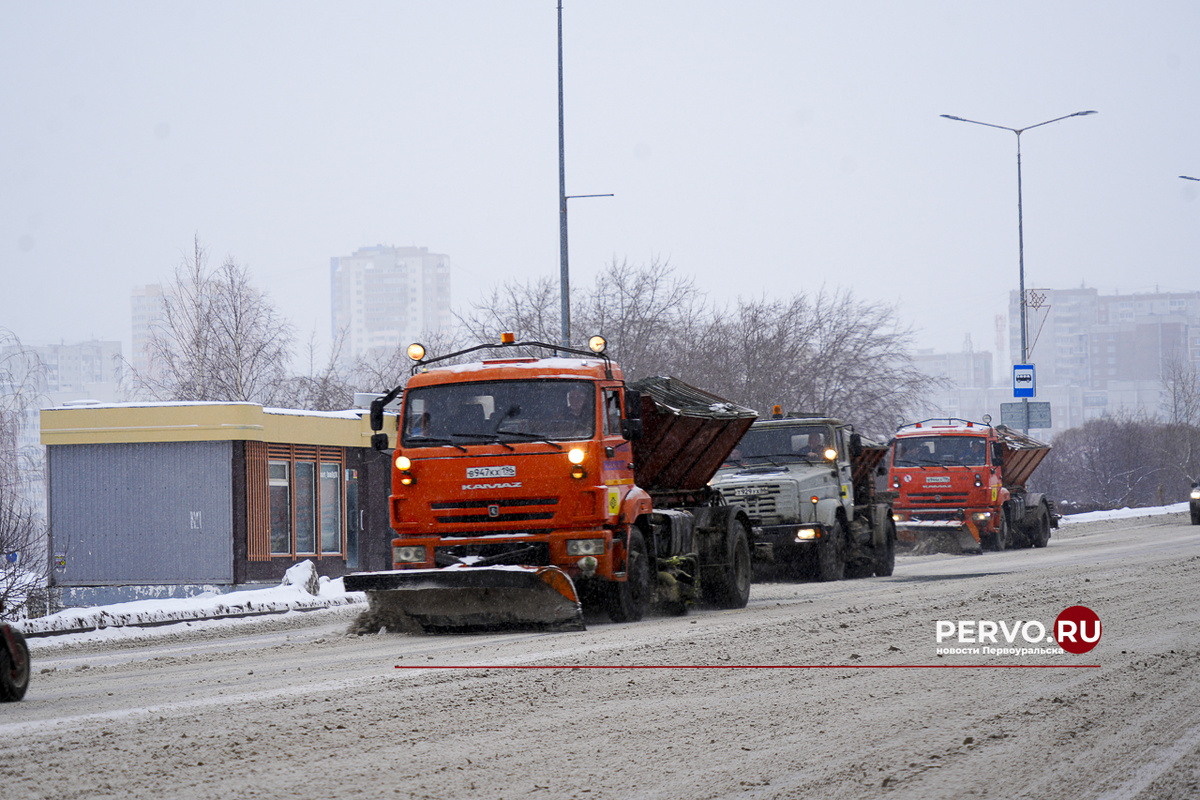 Фото Кравчук Максим / www.pervo.ru