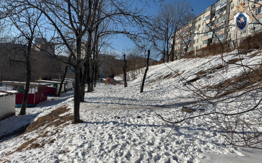    Источник фото: СК РФ по Приморскому краю