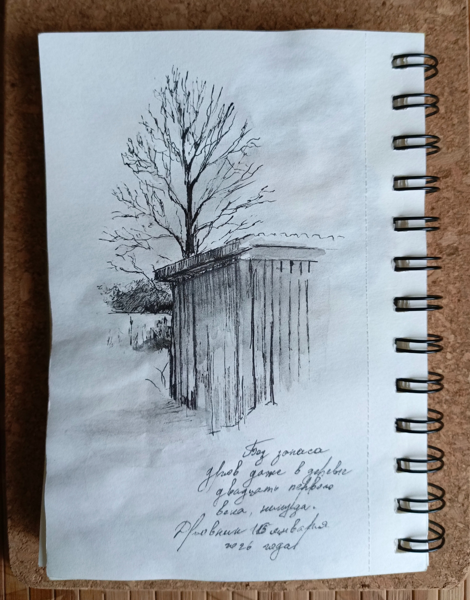 Угол дровяника и поле за домом в деревне.