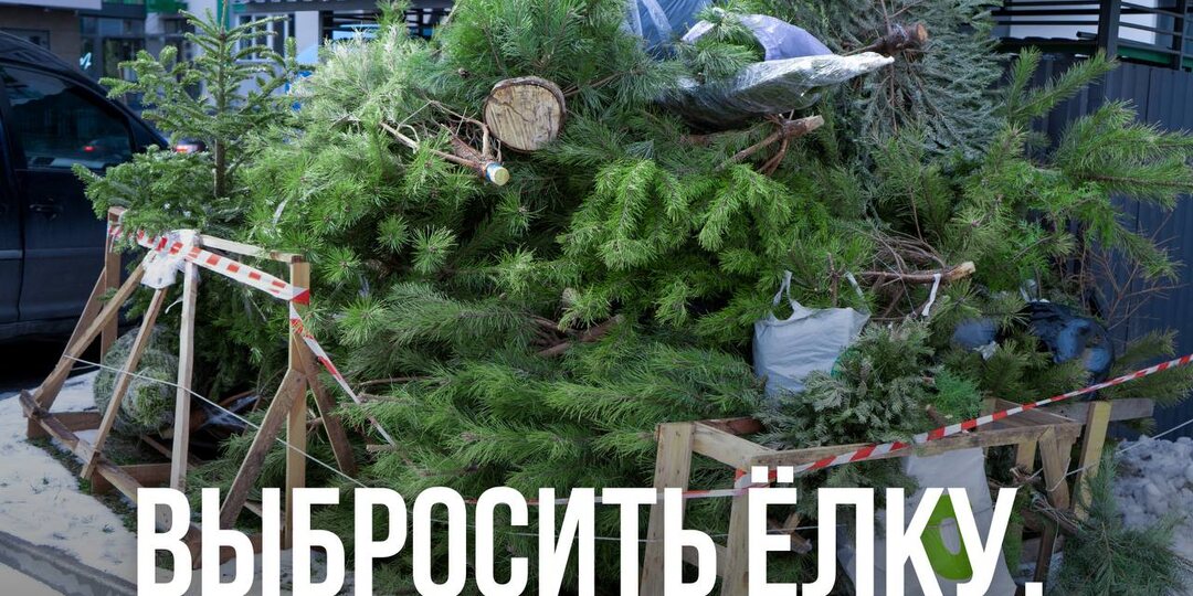 Выбросить ёлку.