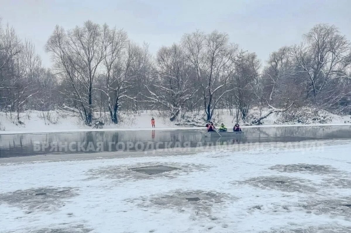    В Брянске продолжились поиски утонувших в реке Десне детей