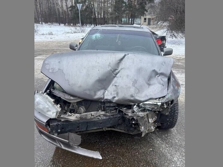     Фото: пресс-служба ГУ МВД России по Воронежской области