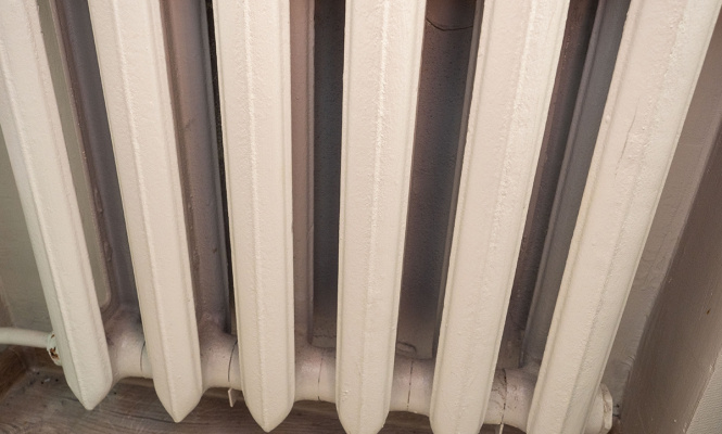    фото: © Столица на Онего