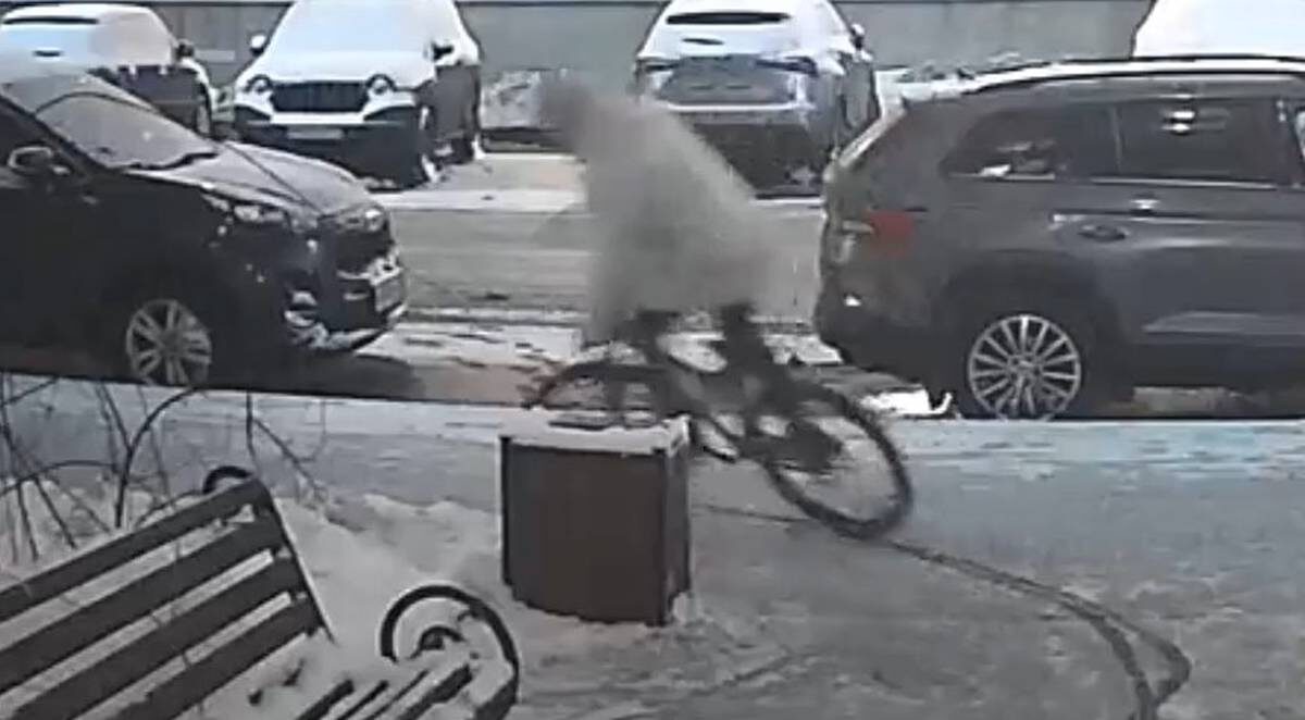    Фото: скриншот видео / пресс-служба ГУ МВД России по Москве