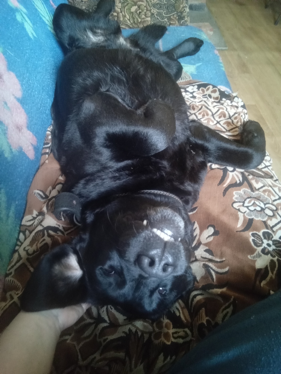 Фото автора. 