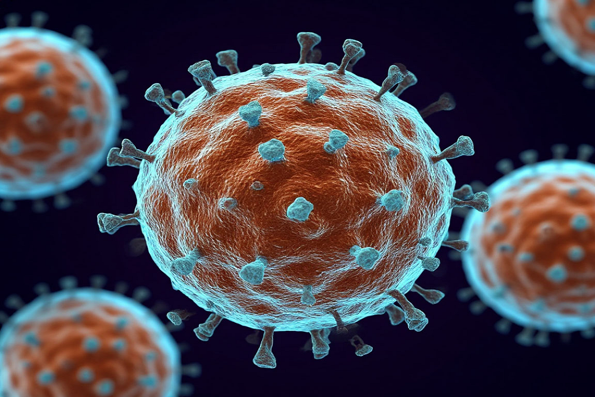    Фото: коллаж RuNews24.ru