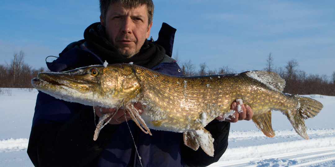 Рыбалка на таежных озерах Кольского полуострова или места, которые остаются в сердце