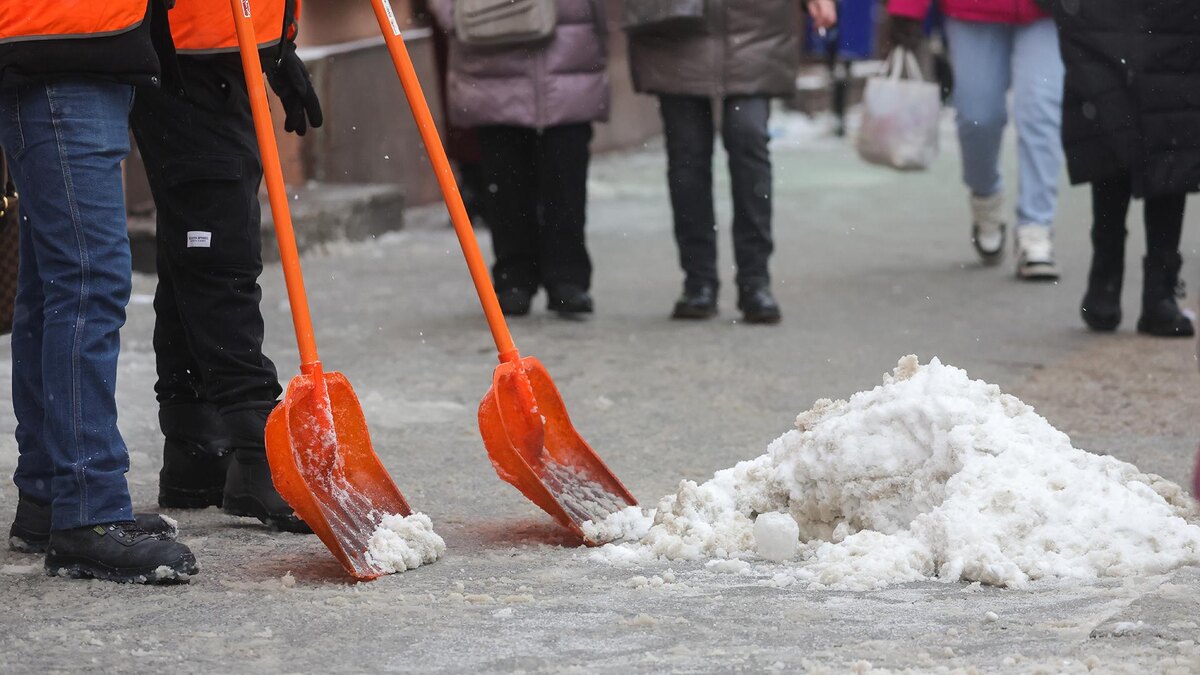    Фото: Shatokhina Natalia/globallookpress.com