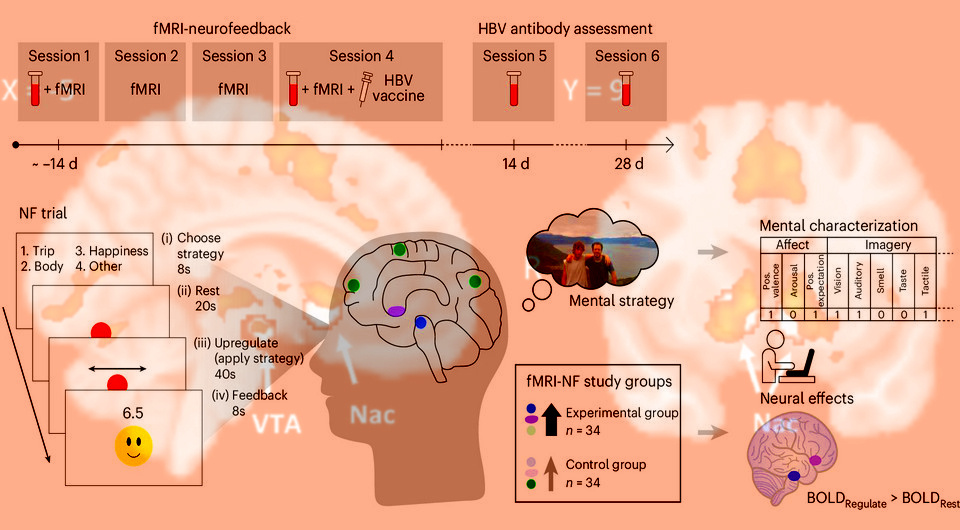   N + 1; Nitzan Lubianiker et al. / Nature Medicine, 2026
