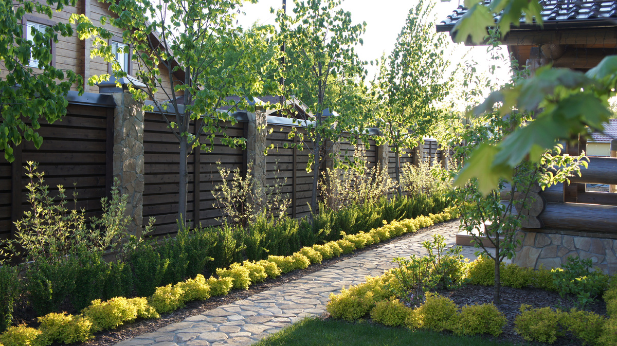 Парадная зона сада