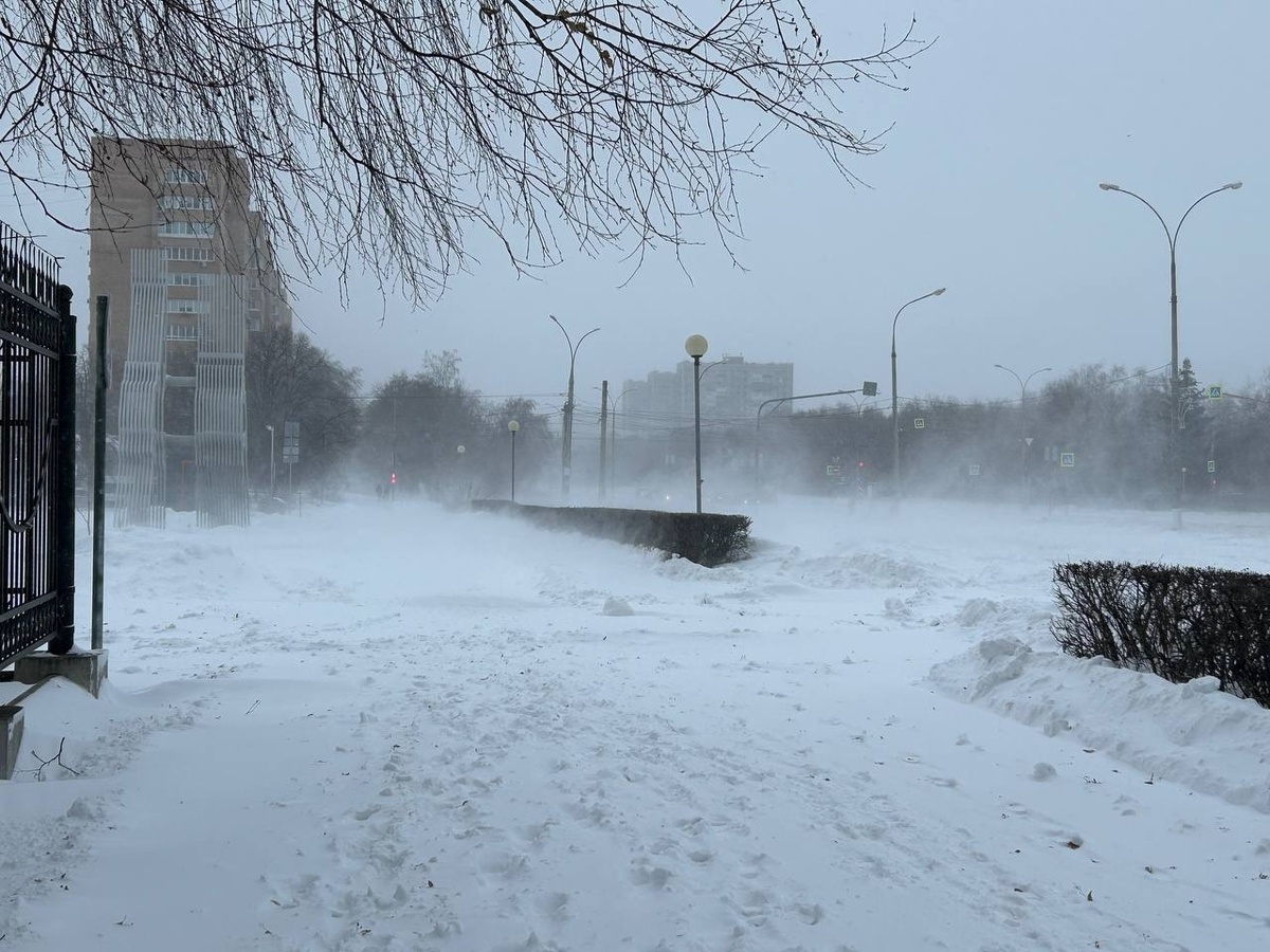    архив samaraonline24.ru