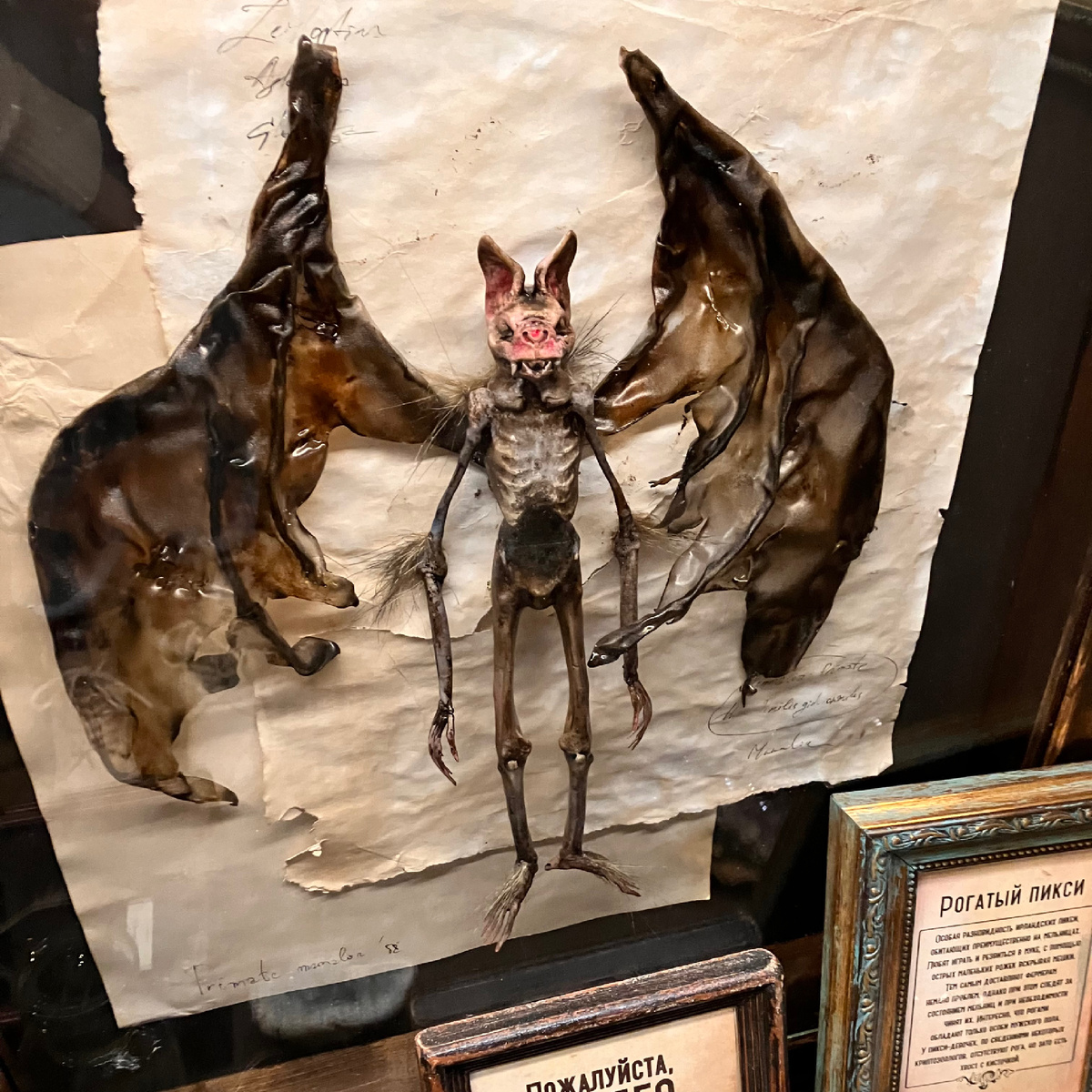 Чудики пошли…