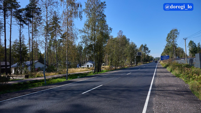 Фото: Dorogi_lo/telegram