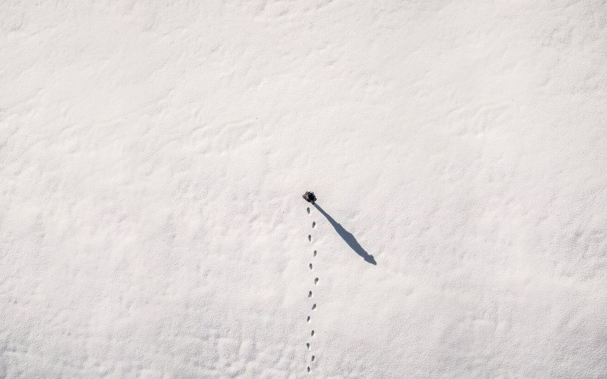 Путешественник, нашедший неведомые земли, сбившись с курса