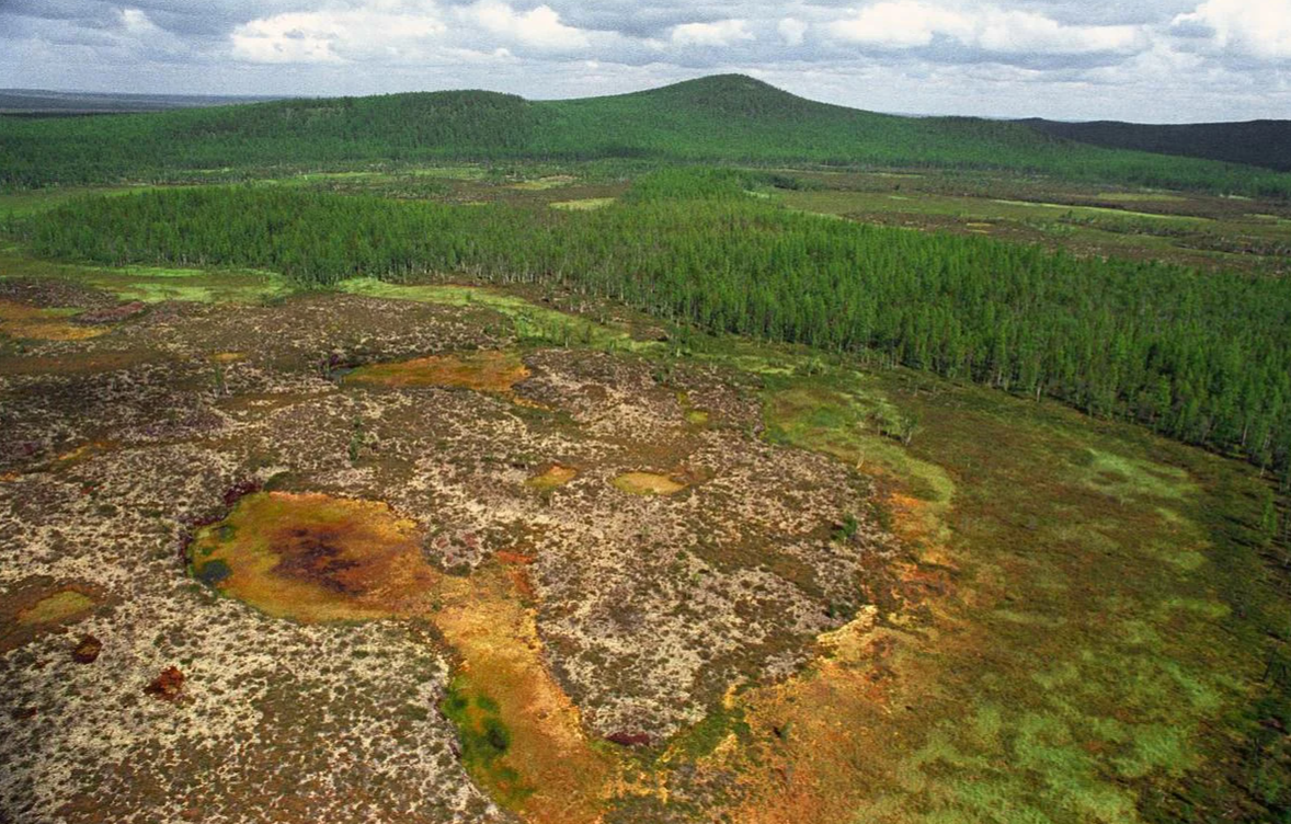 Фото из свободных источников.