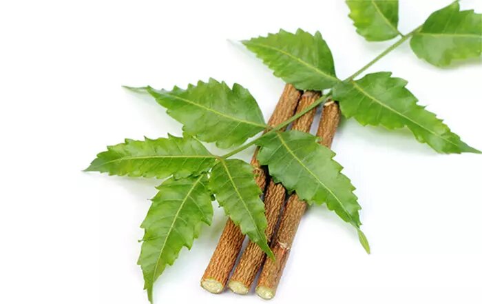 Изображение: Shutterstock