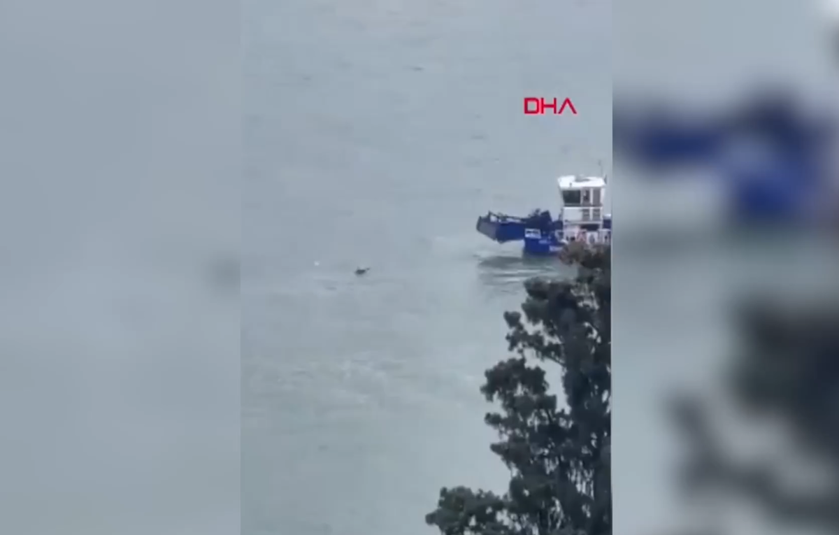 Cukurova Gazetesi/ X