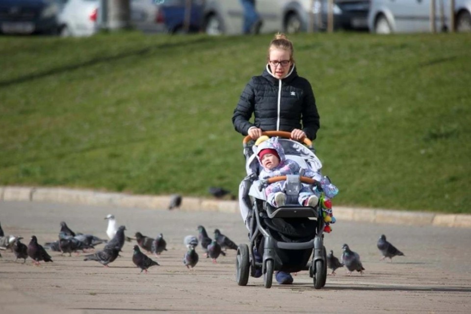    Соцфонд: В феврале все пособия, подлежащие индексации, увеличатся автоматически Святослав ЗОРКИЙ