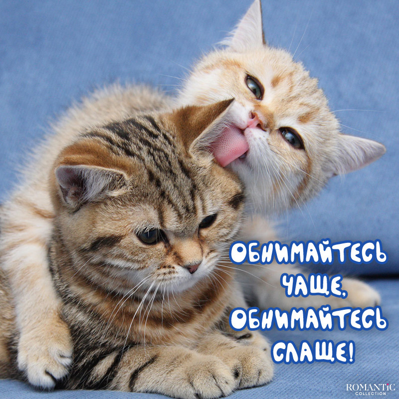 Поздравления с Днем объятий в стихах