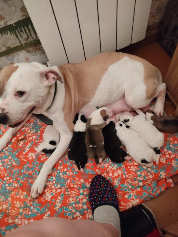     © фото - КРОЗО "Право жить"