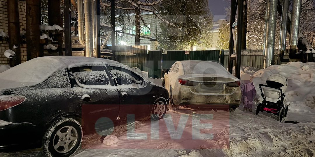 Неуважаемые владельцы данных автомобилей! Ваша совесть при родах умерла