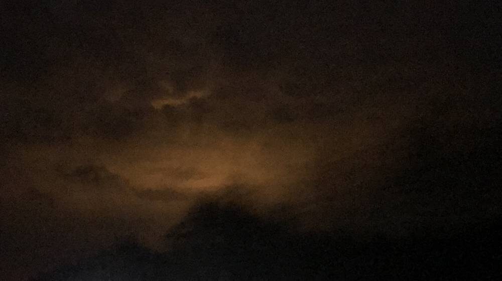    Фото: "Брянские новости"