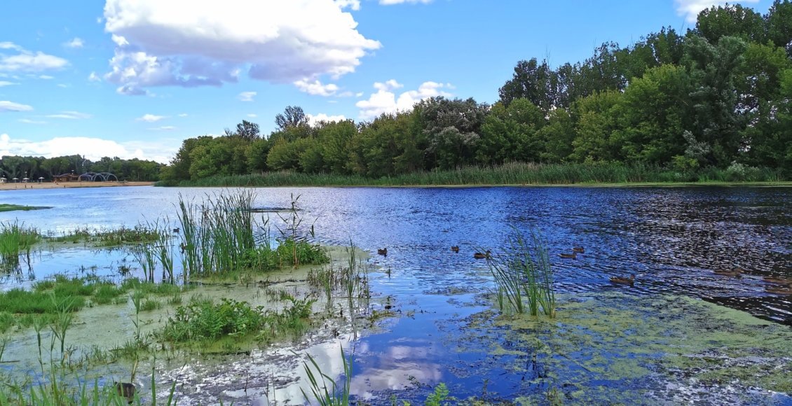    Фото: @НИА Экология