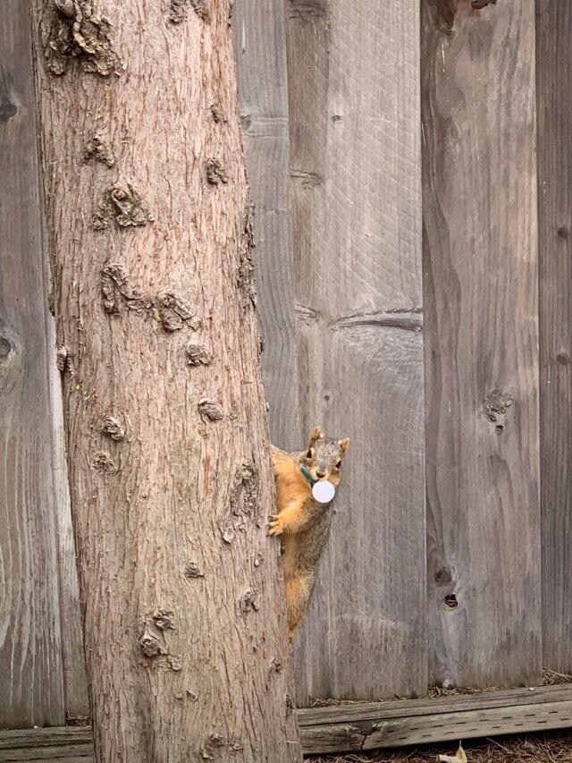   kittyonmybitty