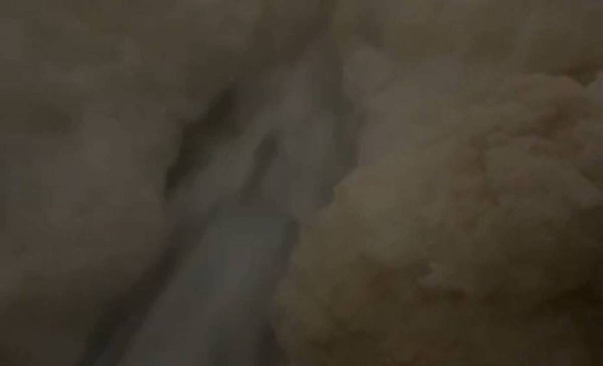    Фото: Скриншот видео / Москва 24 / Telegram