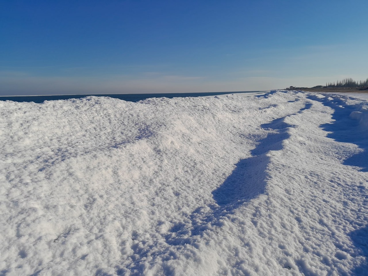 Источник: администрация Генического муниципального округа