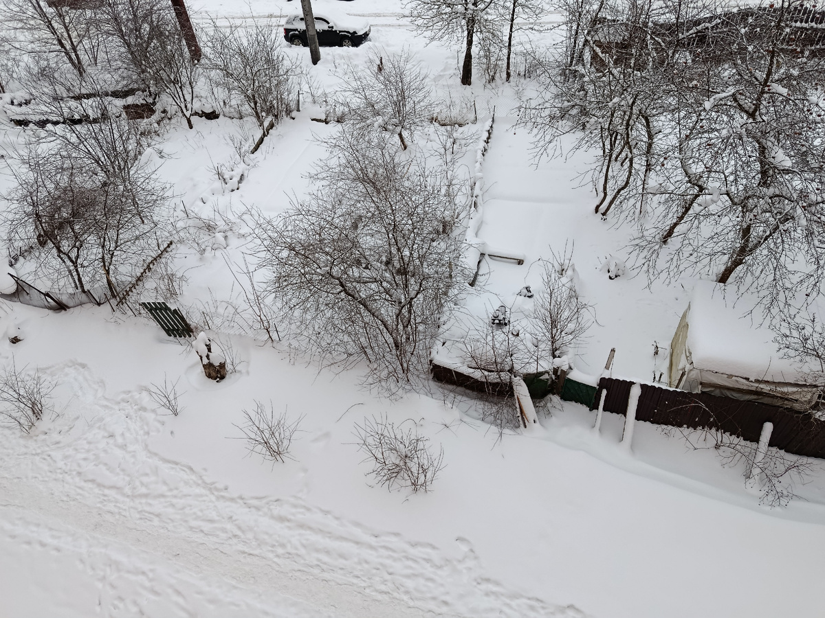 Вид с балкона на огороды за домом