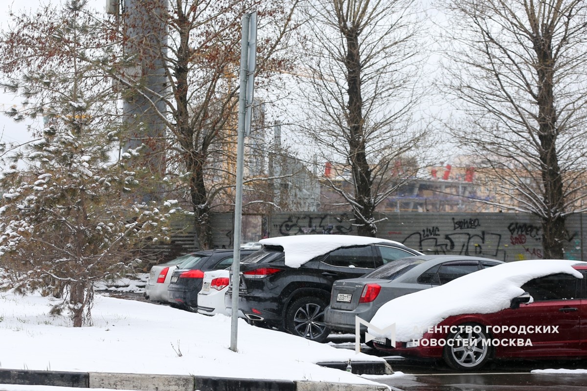 Фотограф: Сергей Ведяшкин