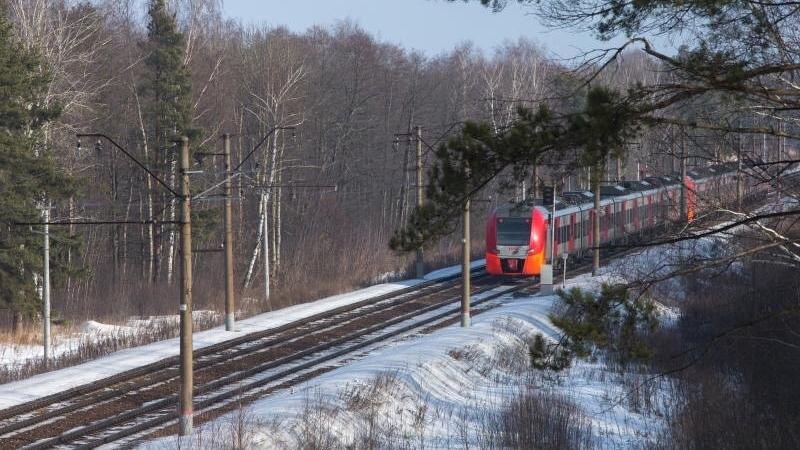    Фото: пресс-служба АО "СЗППК"