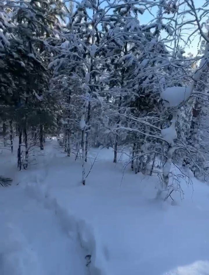 Фото автора.