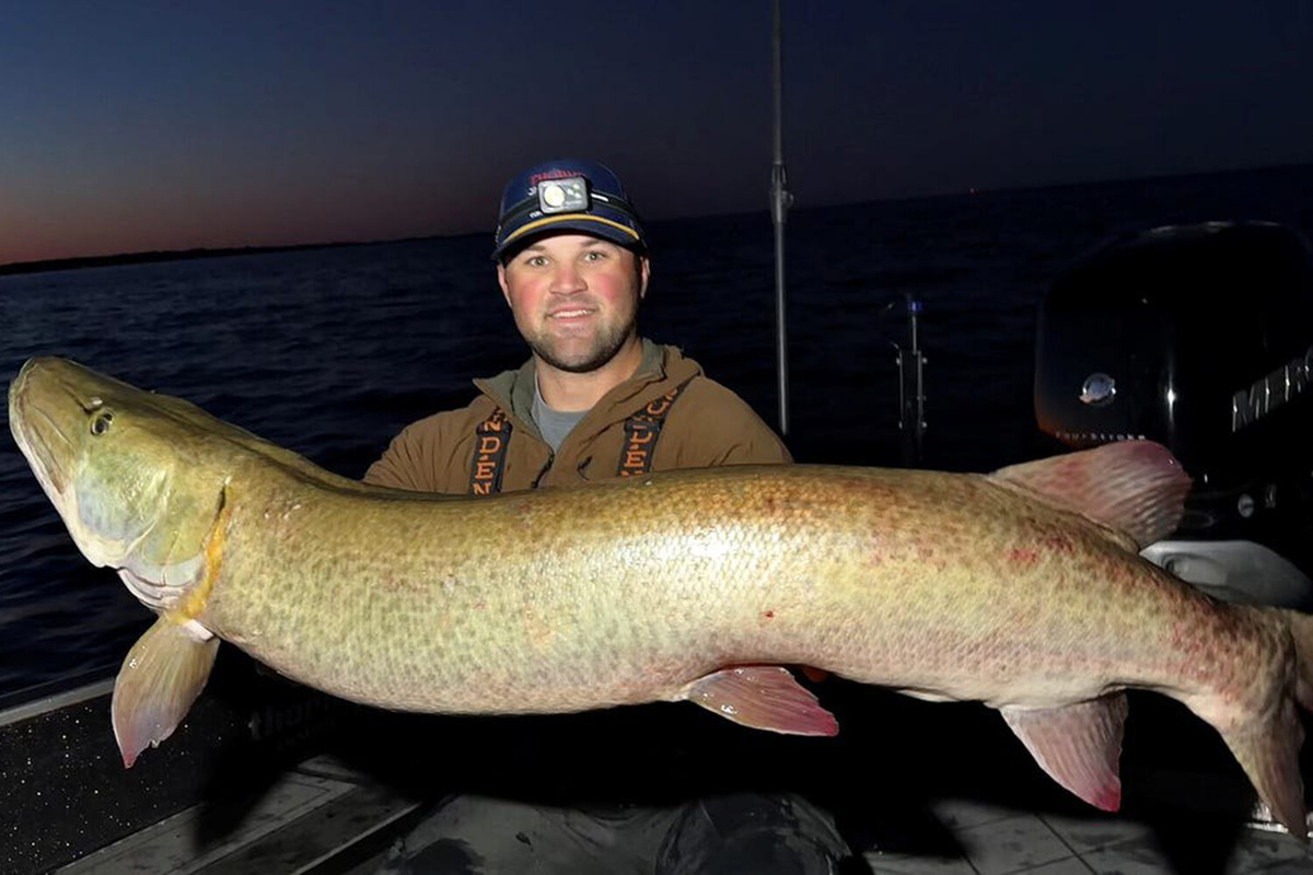 Фото: соцсети  📷
