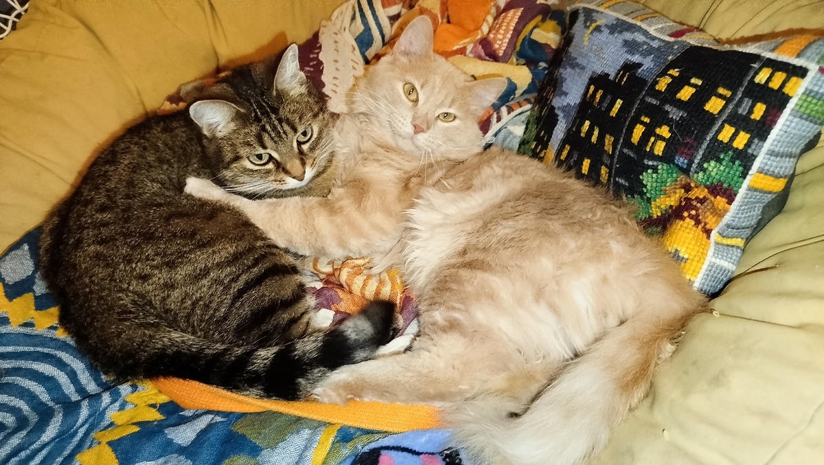 Листайте галерею