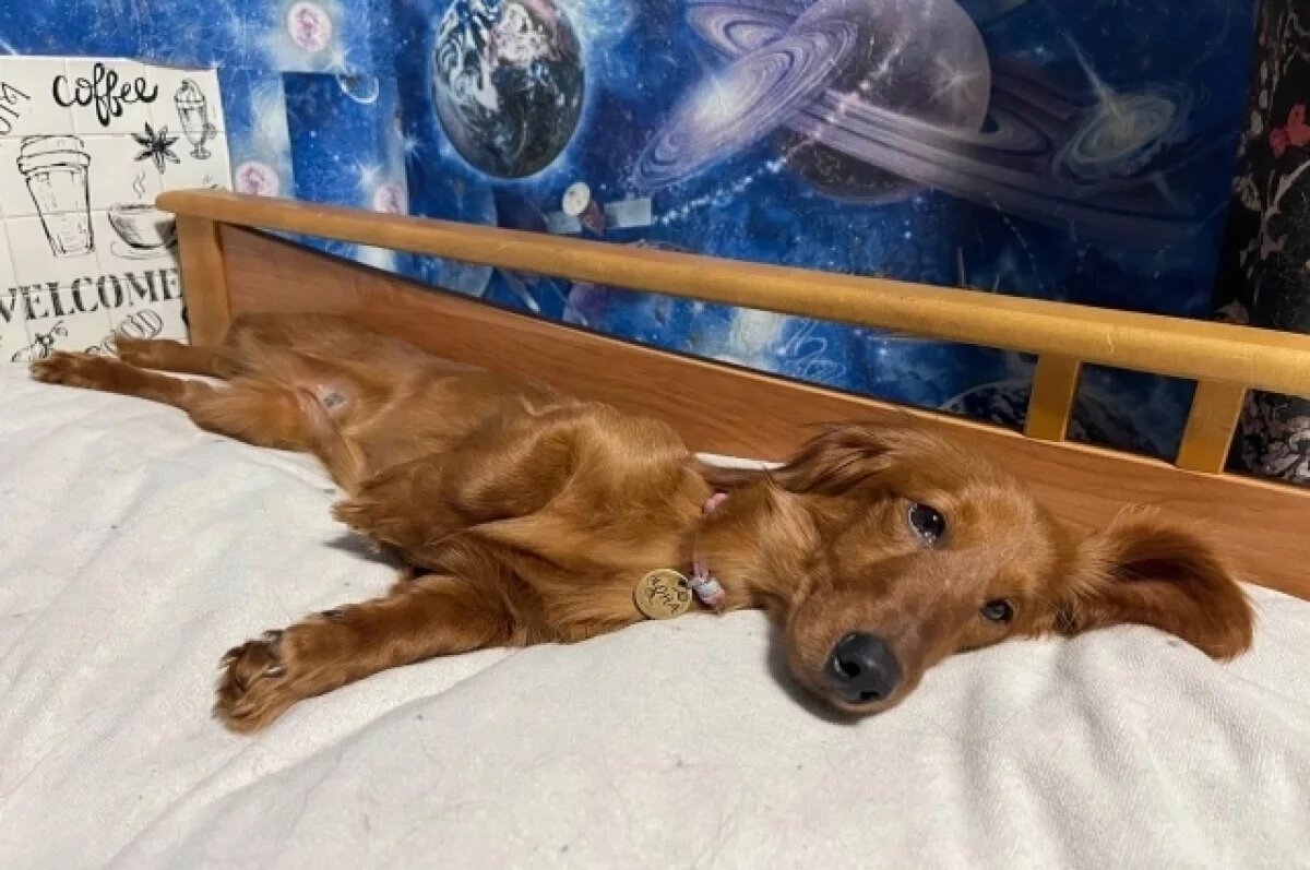    «Найденыши» постепенно приходят в себя в любящих семьях