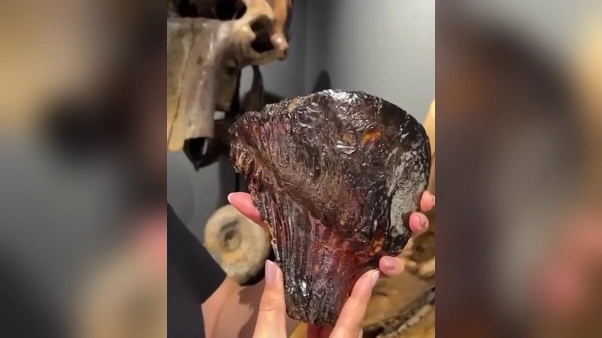    Скриншот видео t.me/rgo_krasnodar