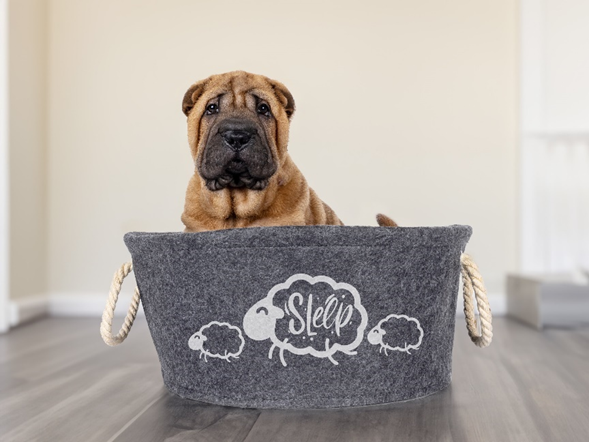 На фото — круглая лежанка из войлока Triol "Лукошко Медиум".
