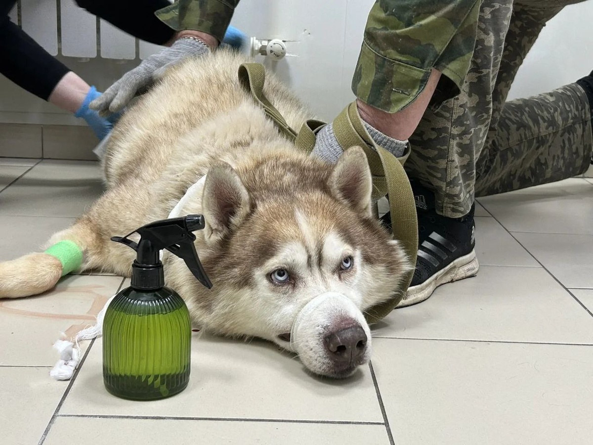 Путь к счастью оказался не таким простым. Но этот мальчик — настоящий боец! Он всё выдержал и победил!