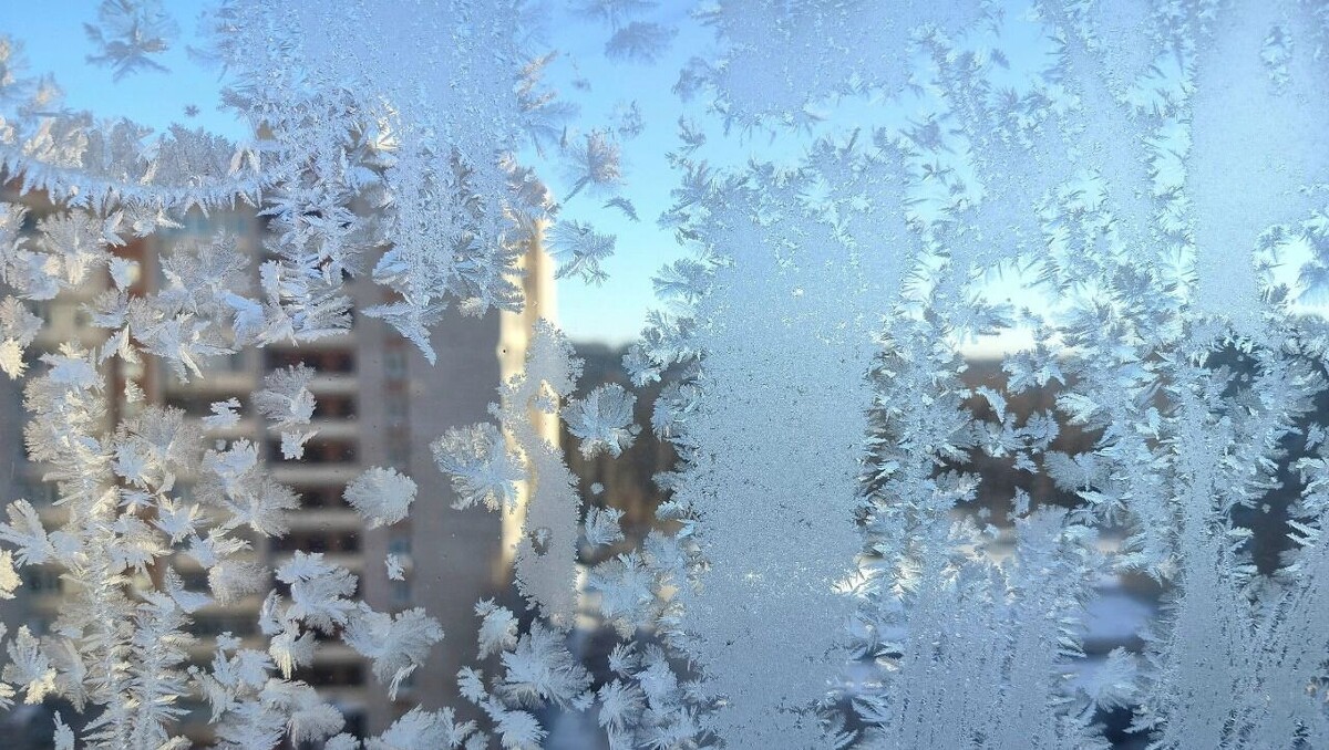   Мария Наумова / udm-info.ru