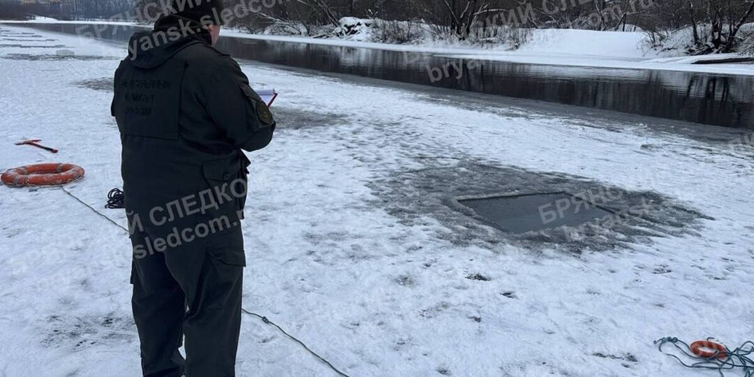 Бастрыкин затребовал доклад о гибели 9-летних мальчиков на Десне в Брянске