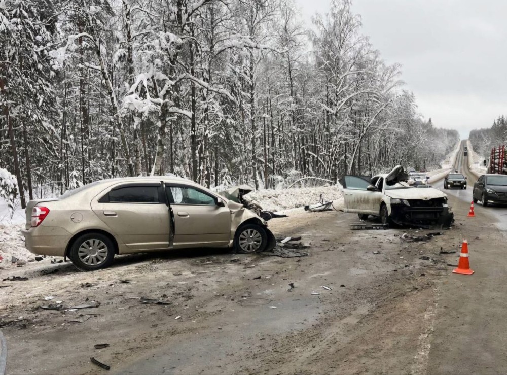    Трое сотрудников АНО "КРПП НО" погибли в ДТП