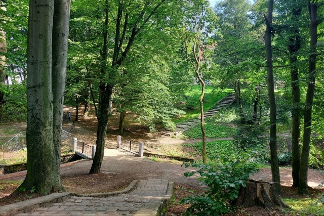   Фото из архива Калининград.Ru