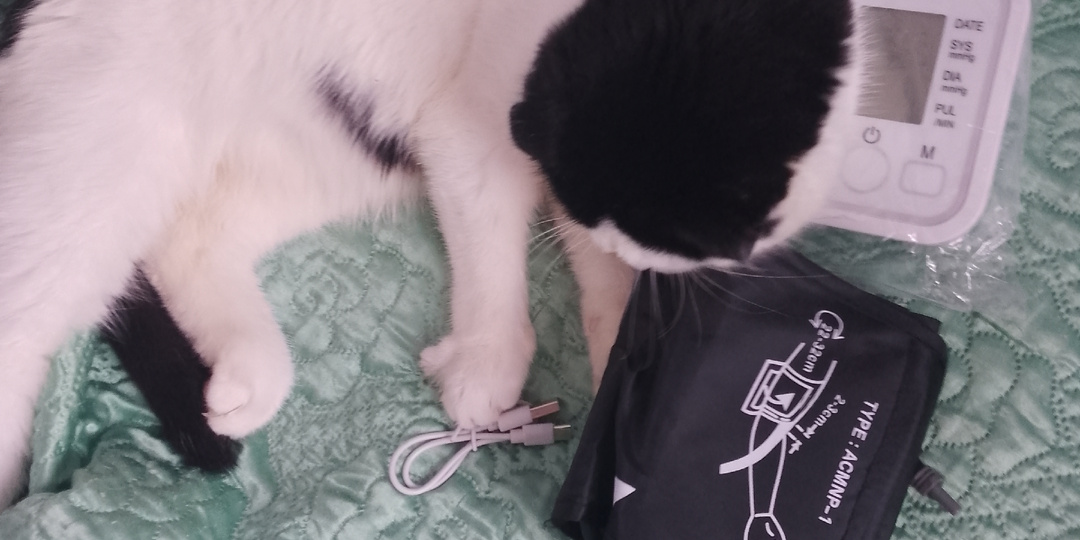 Еще один зимний день