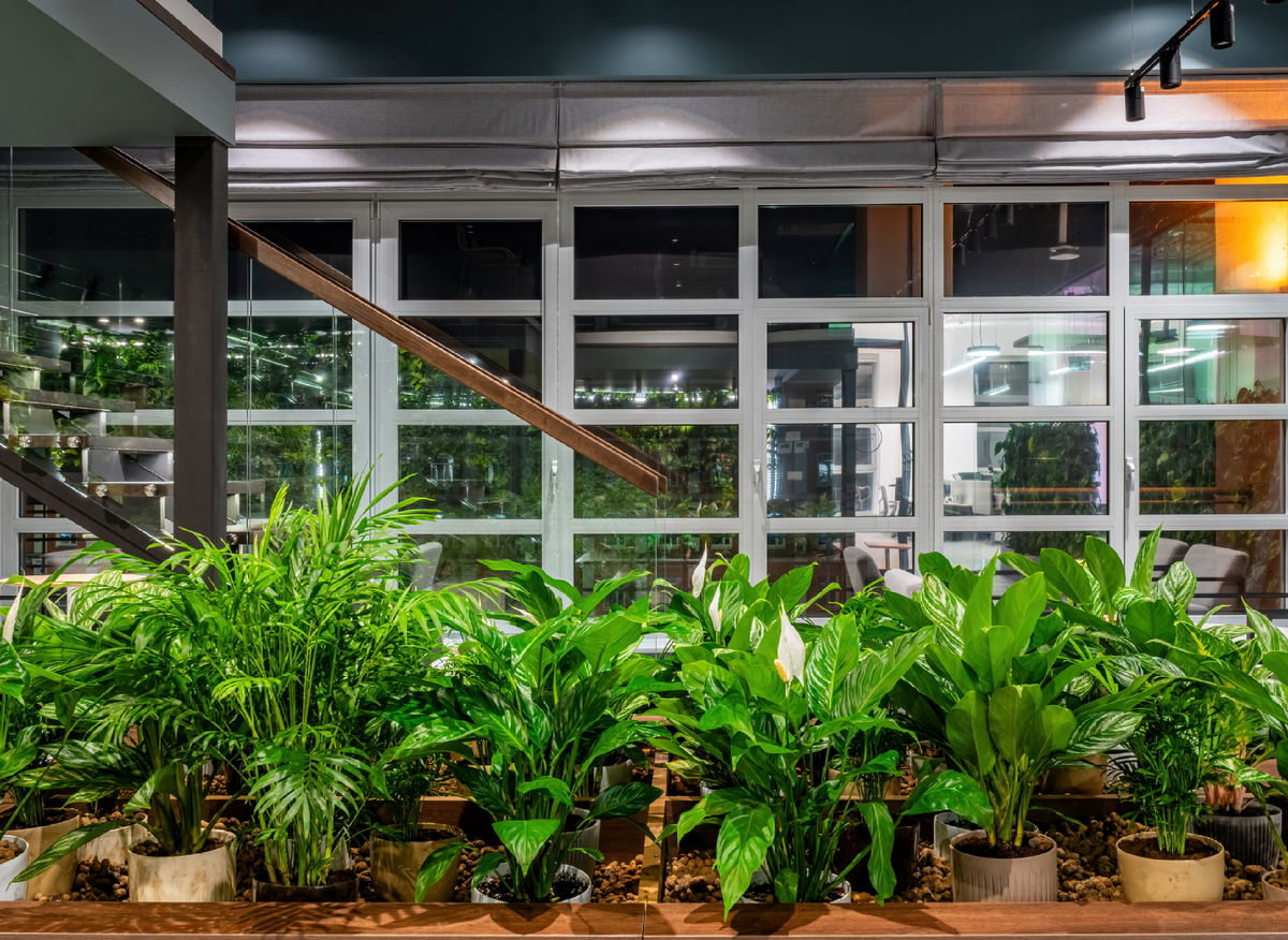 Офис компании Яндекс в Москве. Проект компании АРС